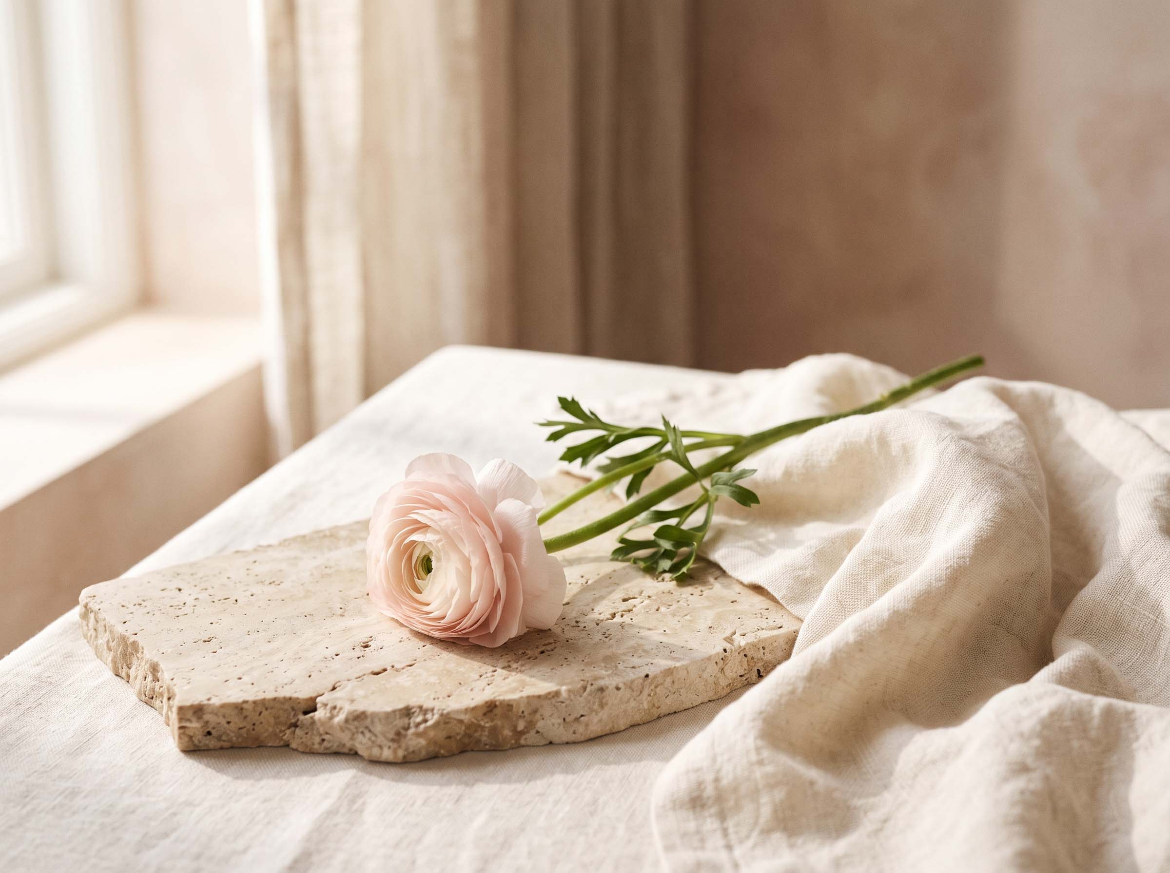 Soft floral wellness scene representing personal care and education